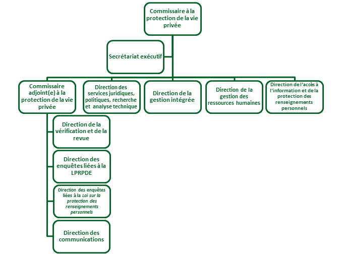 Structure de l'organisation