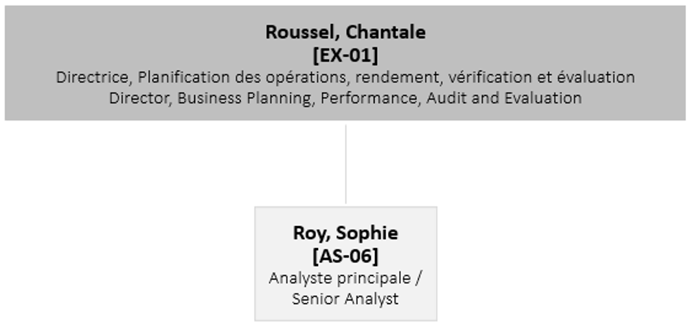 Organizational Chart of Business Planning, Performance, Audit & Evaluation Directorate